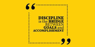 Focus & Self-Discipline Coaching