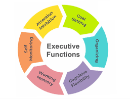 Executive Function Coaching (Planning, Memory, Routines)