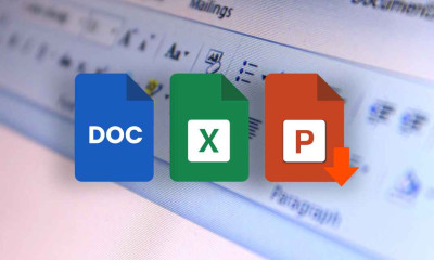 Professional Skills (Excel, PowerPoint, Business Writing)